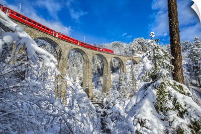 Switzerland, Alps, Bernina Express Passes Through The Snowy Woods Filisur