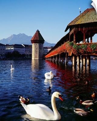 Switzerland, Lucerne, Kapellbrucke, the covered wooden bridge