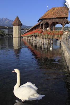 Switzerland, Luzern, Lucerne, The oldest covered wood bridge in Europe