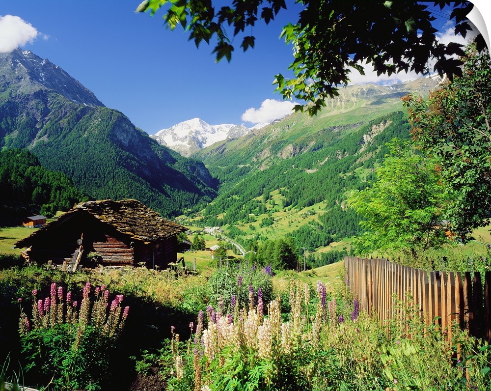 Switzerland, Valais, Val d' Herens, view from La Sage