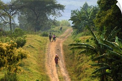 Uganda, Bunyarugura area