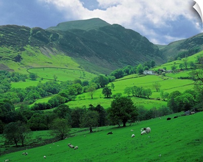 UK, England, Cumbria, Lake District, Countryside near Keswick village