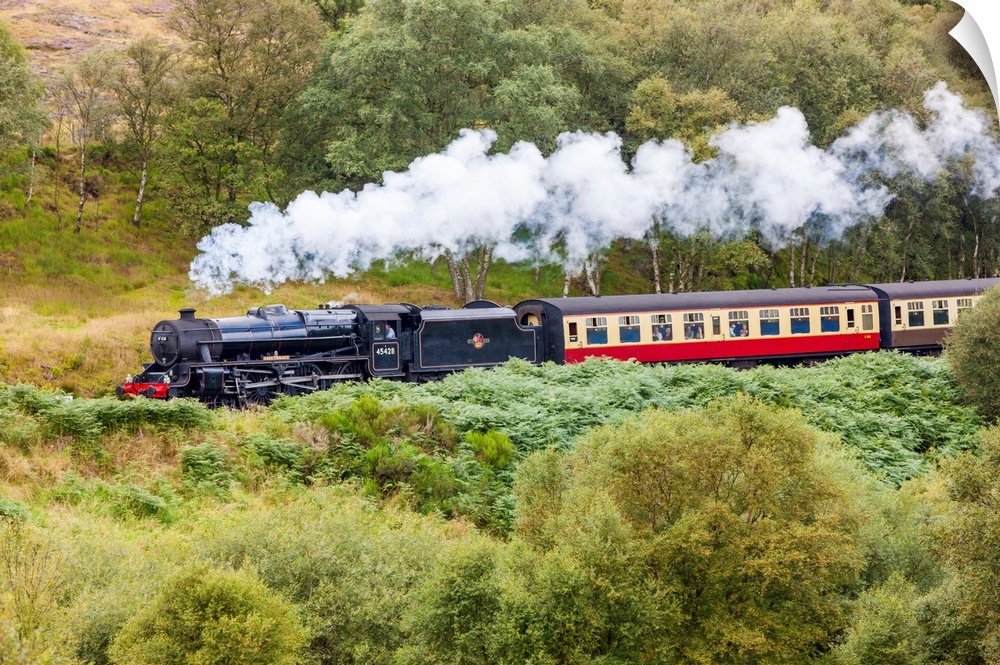 UK, England, Great Britain, North York Moors National Park, North Yorkshire, Goathland, A steam locomotive 45428 Eric Trea...