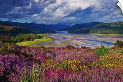UK, Wales, Barmouth, View of the Mawddach River Estuary
