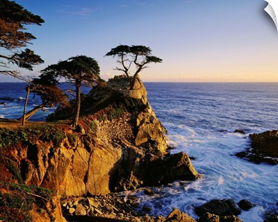 United States, California, Carmel Coast near Monterey Bay