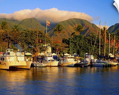 United States, Hawaii, Maui island, Lahaina town, harbor