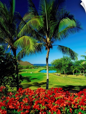 United States, Hawaii, Maui island, Makena Golf Courses