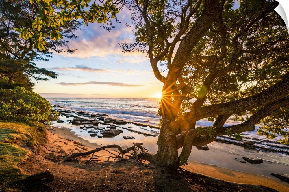 United States, Hawaii, Pacific ocean, Sunrise in Kauai island