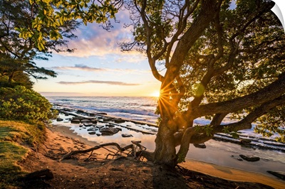 United States, Hawaii, Pacific Ocean, Sunrise In Kauai Island