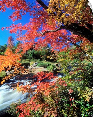United States, New York State, Adirondacks, Ausable river