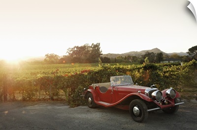 USA, California, Napa Valley, Vintage car and vineyard