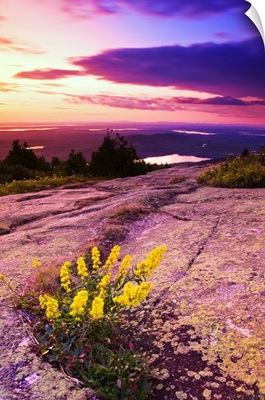 USA, Maine, Mount Desert Island, Sunset at Cadillac Mountain