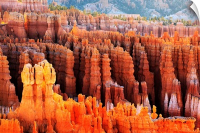 Utah, Sunrise on the Hoodoos in Bryce Canyon from Inspiration point