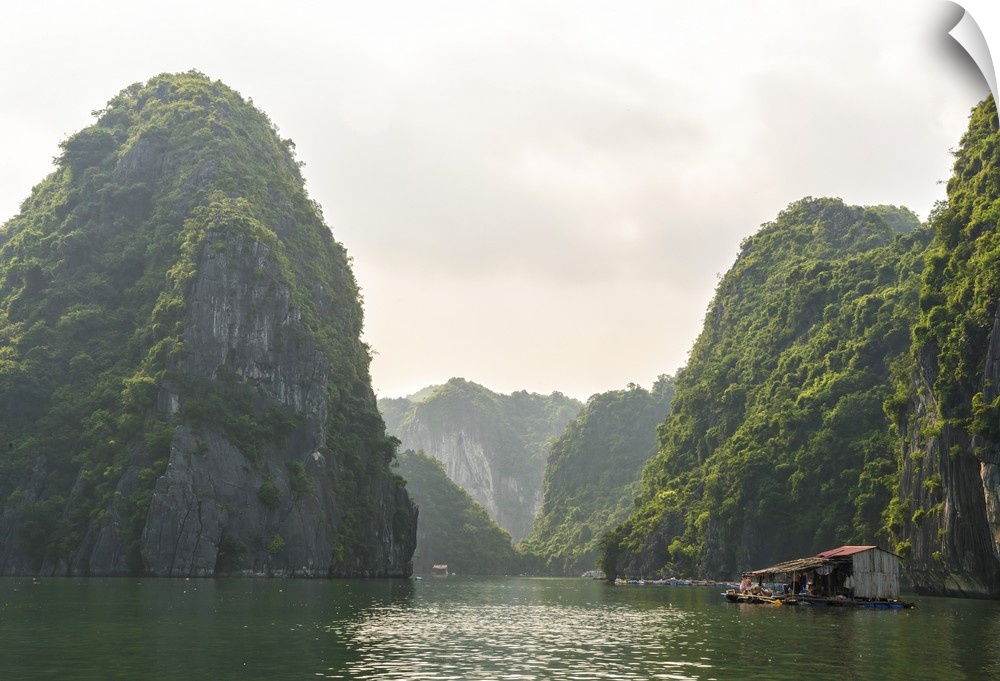 Vietnam, Northeast, North Vietnam, Coast, Halong Bay, Floating fishing village.