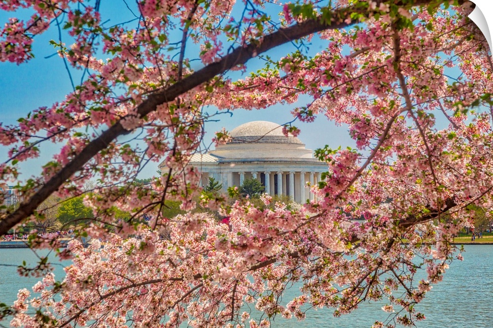 Washington, D.C. Jefferson Memorial During Springtime.