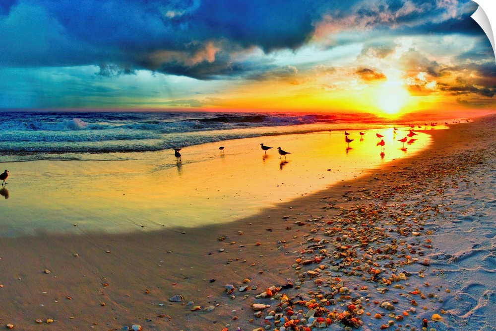 Dark blue sunset landscape over a sandy shoreline. Birds play in the reseding surf. A trail of beach shells wonders into t...