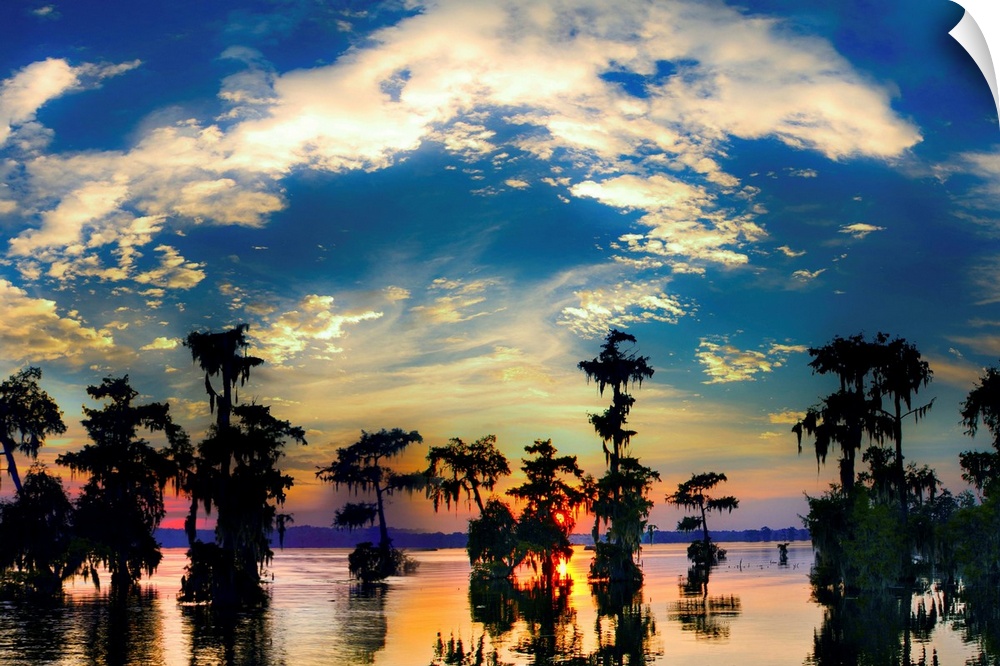 Landscape featuring cypress swamp at sunset.