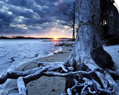 Dark Sunset Lake Tree Landscape