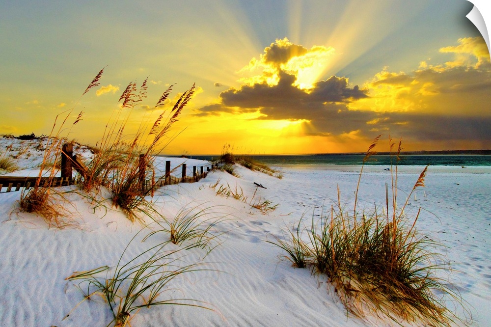 Landscape photograph of a golden beach sunset along a beautiful coast. This golden sunset has magnificent golden light bre...