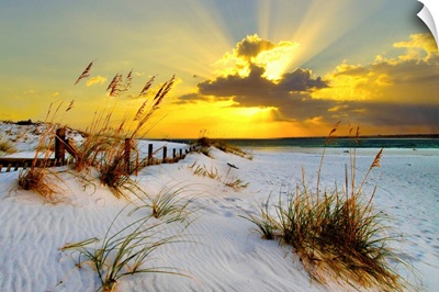 Landscape Photography Beach Golden Sunset