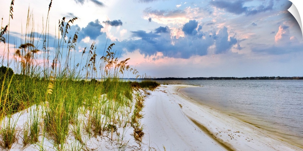 A panoramic with blue and purple clouds over a grassy beach. Sea Oats can be seen reaching into the sky. Landscape taken n...