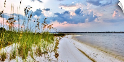 Panoramic Landscape With Green Grass And Sea Oats