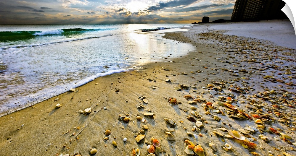 Beach shells in this panoramic sunset with a calm blue seascape and sky. Landscape taken on Navarre Beach, Florida.