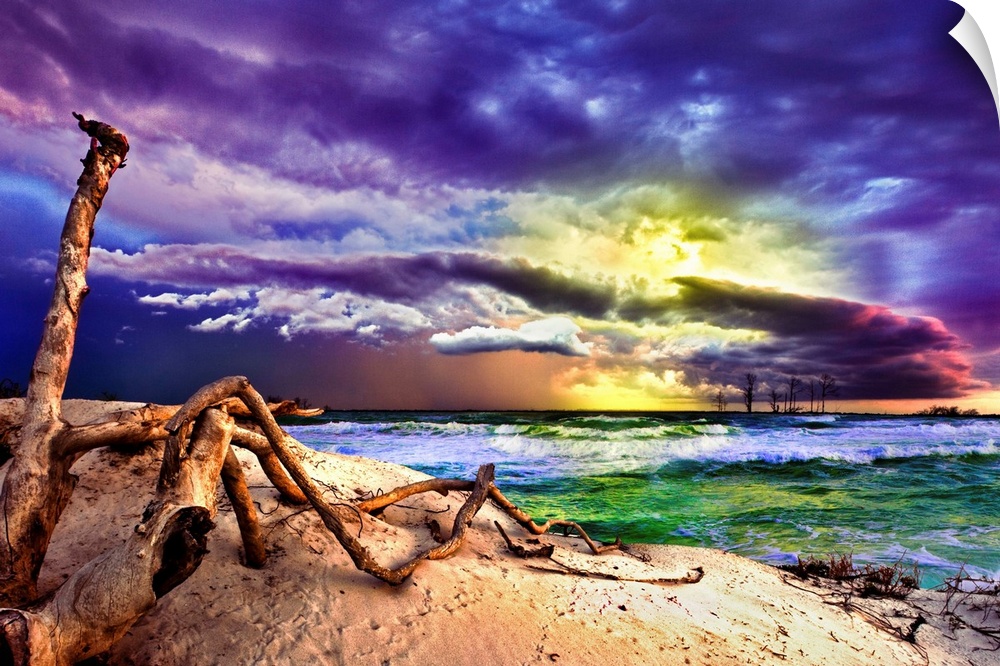 A storm caught with the most amazing purple sunset. Very interesting perspective with the dead tree, climbing roots, and b...