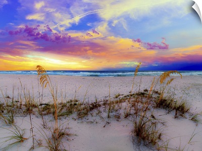 Purple Pink And Blue Sunrise Over Beach Sea Oats