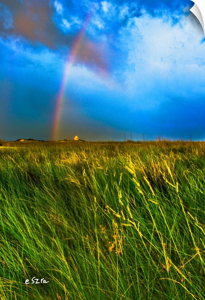 A rainbow blue sky with a green grassy meadow.