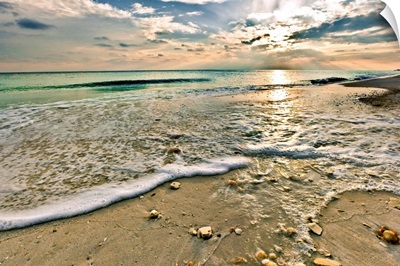 Shell Covered Beach Sunset Landscape