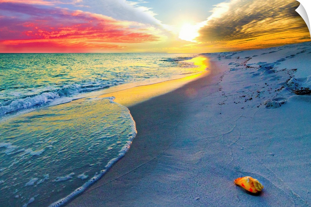 A shell on a sandy beach before a colorful sunset. A very tranquil and relaxing sunset. Landscape taken on Navarre Beach. ...