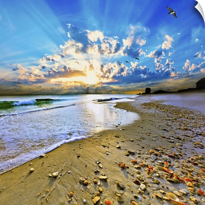 Vibrant Blue Sun Rays Burst Above Beach Shells