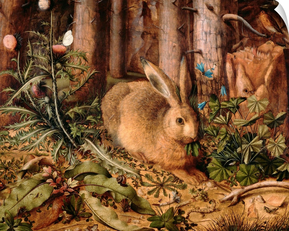 A Hare in the Forest, by Hans Hoffmann, c. 1585, German painting, oil on panel. Minutely detailed painting of a hare and m...
