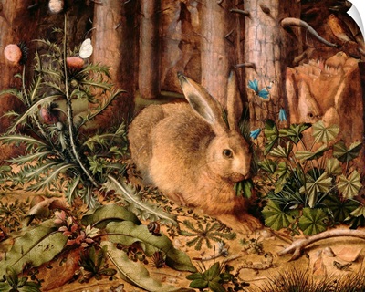 A Hare in the Forest, by Hans Hoffmann, c. 1585