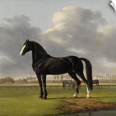 Adriaan van der Hoop's Trotter 'De Vlugge' in a Meadow, 1828