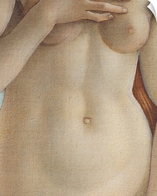 Birth Of Venus, Torso Of Venus, By Botticelli, 1484-1485. Uffizi Gallery, Florence. Deta