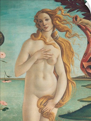 Birth Of Venus, Venus, By Botticelli, 1484-1485. Uffizi Gallery, Florence, Italy
