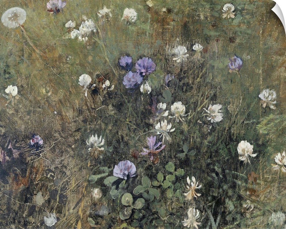 Blooming Clover, by Jac van Looij, c. 1897, Dutch painting, oil on canvas. Close-up study of a clover in a meadow.