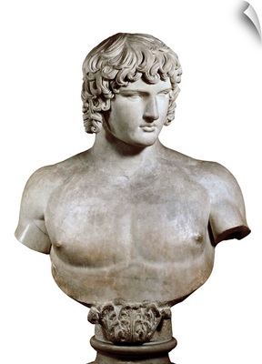 Bust of Antinous, Roman art
