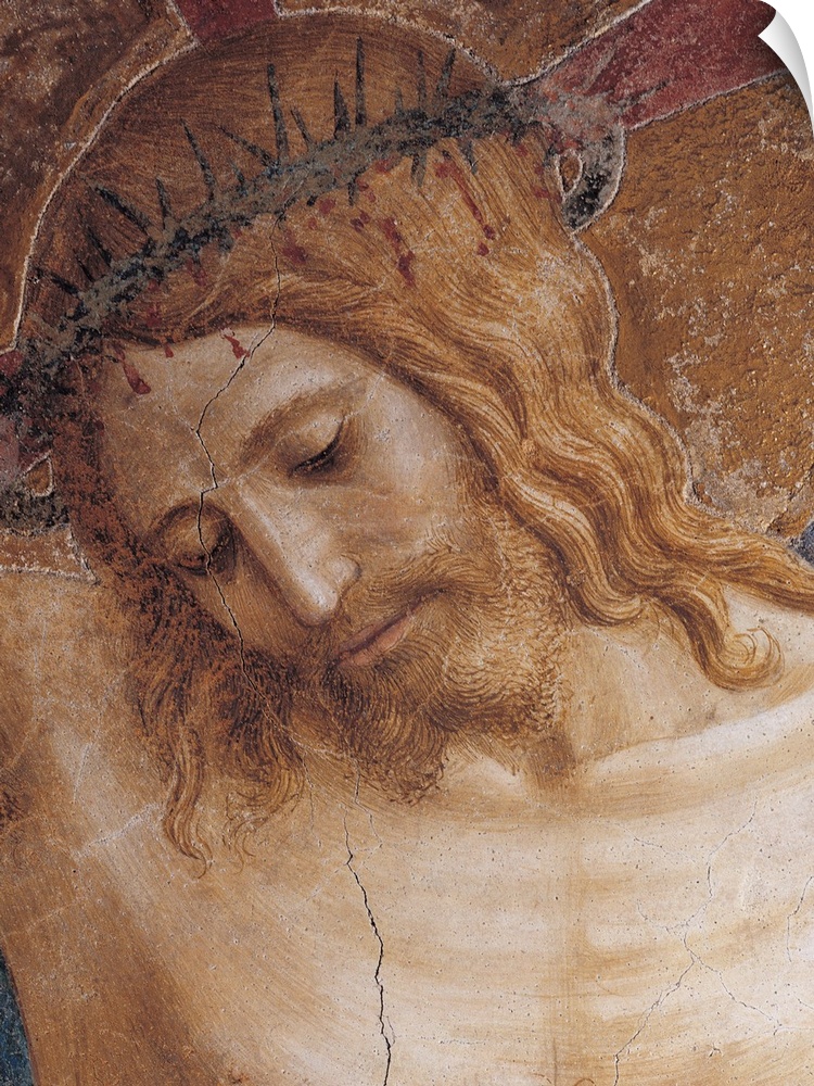 Italy, Tuscany, Florence, San Marco Convent, cloister. Detail. Face Christ crown of thorns passion. (158617) Everett Colle...