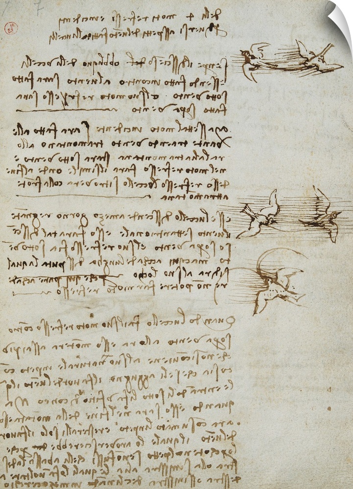 Codex on the Flight of Birds, by Leonardo da Vinci, 16th Century, 1505 -1506, paper manuscript, mm 213 x 153 - Italy, Piem...