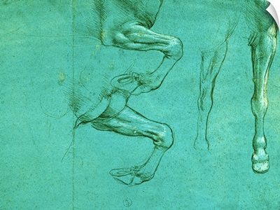 Drawing of Horse Front Legs, by Leonardo da Vinci, 1490. Royal Library, Turin, Italy