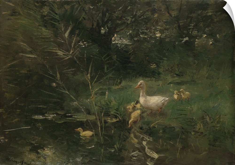 Ducklings, by Willem Maris, c. 1880-1907, Dutch painting, oil on panel. A white duck with her ??ducklings in a waterfront ...