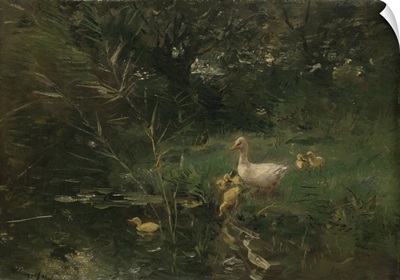 Ducklings, by Willem Maris, c. 1880-1907, Dutch painting, oil on panel