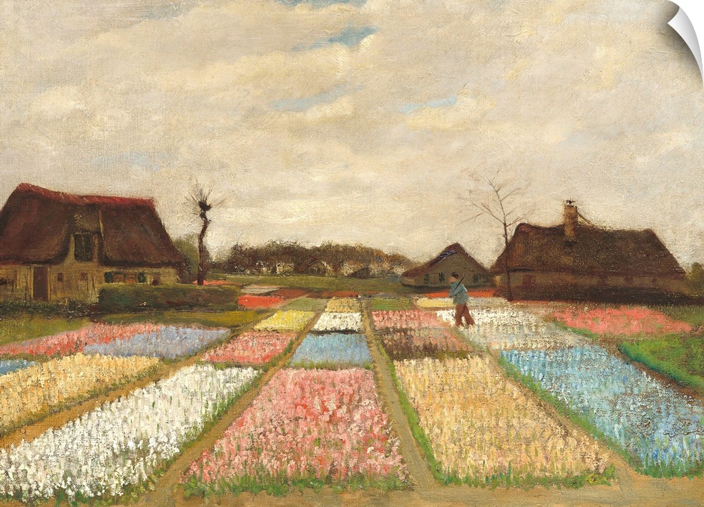 Flower Beds in Holland, by Vincent van Gogh, 1883, Dutch Post-Impressionist painting, oil on canvas. Also called the 'Bulb...