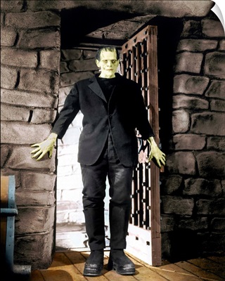 Frankenstein, Boris Karloff, 1931
