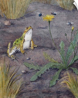 Frog Near a Dandelion with Flies, by Jan van Oort, c.1880-1930