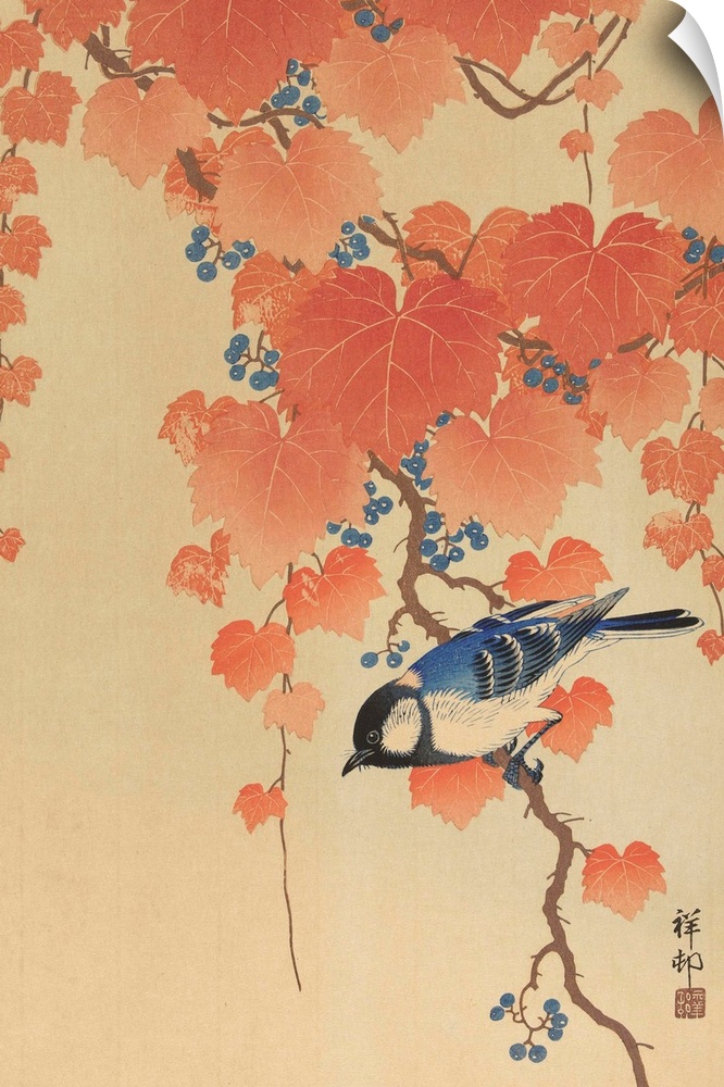 Great Tit on Paulownia Branch, by Ohara Koson, 1925-36, Japanese print, color woodcut.