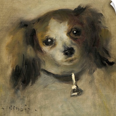Head of a Dog, by Auguste Renoir, 1870